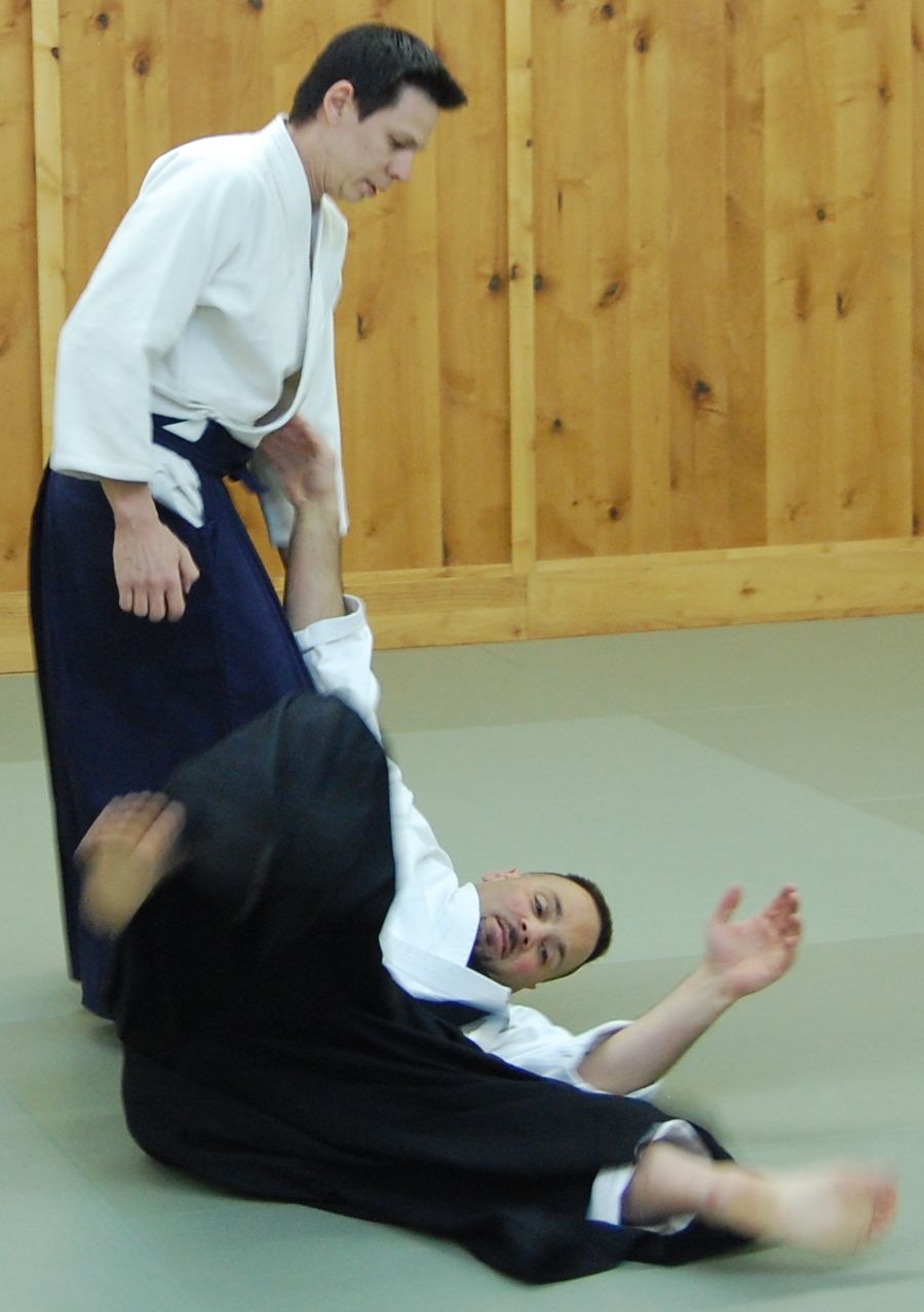 sales lessons from an aikido seminar