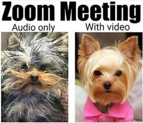 zoom meeting audio vs video-